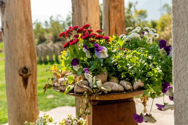 Hotel La Dolce Mela Agriturismo